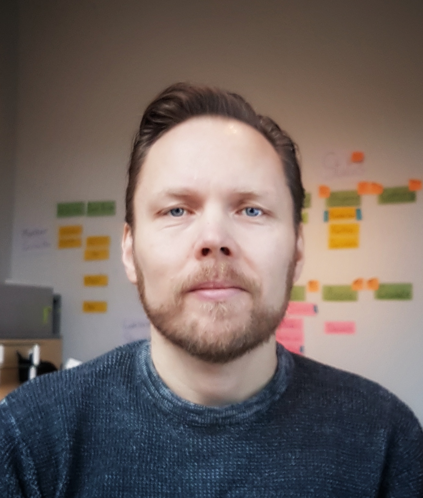 Portrait photo of Jan Ainali